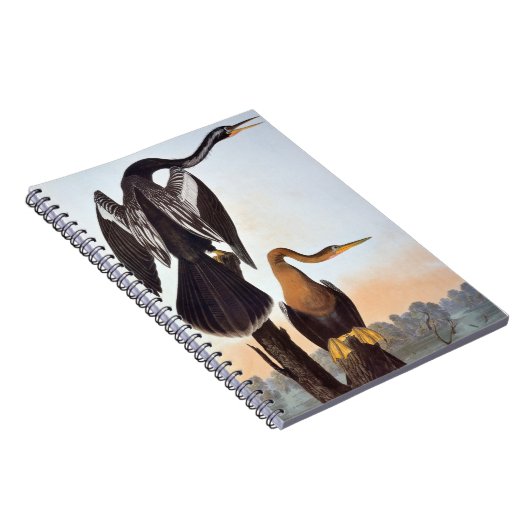Audubon: Anhinga Notizblock (Rechte Seite)