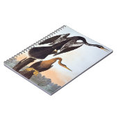 Audubon: Anhinga Notizblock (Linke Seite)