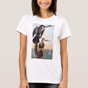 Audubon: Anhinga T-Shirt