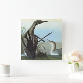 Audubon: Arktische Loon Quadratische Wanduhr (Zuhause)