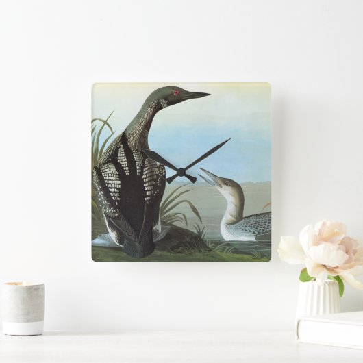 Audubon: Arktische Loon Quadratische Wanduhr (Zuhause)