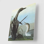 Audubon: Arktische Loon Quadratische Wanduhr (Winkel)