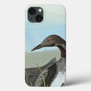 Audubon: Arktischer Loon Case-Mate iPhone Hülle