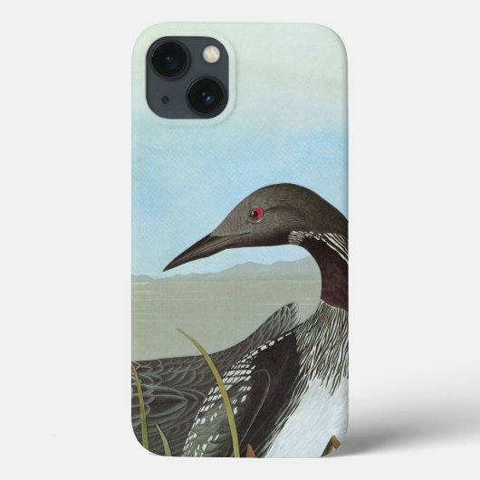 Audubon: Arktischer Loon Case-Mate iPhone Hülle (Rückseite)