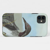 Audubon: Arktischer Loon Case-Mate iPhone Hülle (Rückseite (Horizontal))