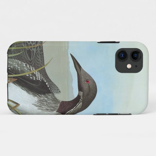 Audubon: Arktischer Loon Case-Mate iPhone Hülle (Rückseite (Horizontal))