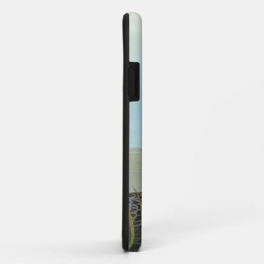 Audubon: Arktischer Loon Case-Mate iPhone Hülle (Hinten/Rechts)