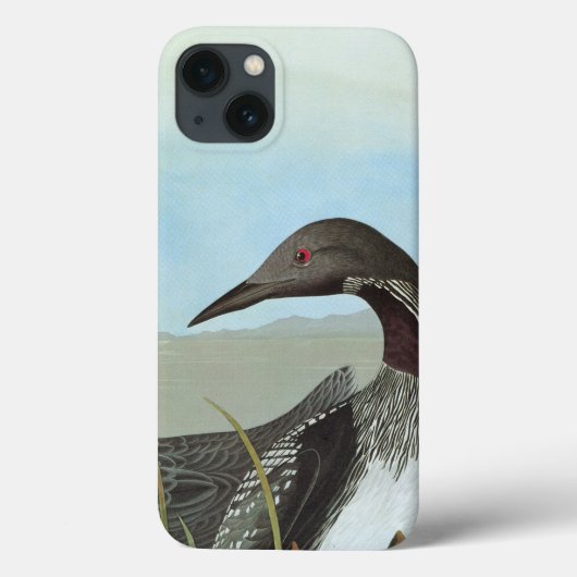 Audubon: Arktischer Loon Case-Mate iPhone Hülle (Rückseite)