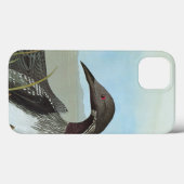 Audubon: Arktischer Loon Case-Mate iPhone Hülle (Rückseite (Horizontal))