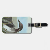 Audubon: Arktischer Loon Gepäckanhänger (Vorderseite horizontal)