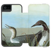 Audubon: Arktischer Loon Incipio iPhone Geldbeutel-Hülle (Folio Geöffnet)