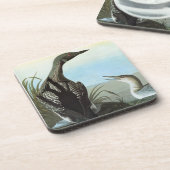 Audubon: Arktischer Loon Untersetzer (Linke Seite)