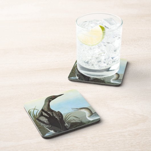 Audubon: Arktischer Loon Untersetzer (Rechte Seite)