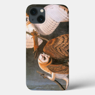 Audubon: Barn Owl Case-Mate iPhone Hülle