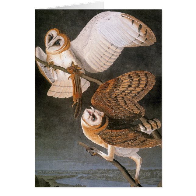 Audubon: Barschüssel (Vorne)