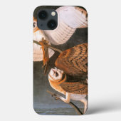 Audubon: Barschüssel Case-Mate iPhone Hülle (Rückseite)