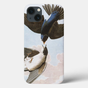 Audubon: Baum-Schwalbe iPhone 13 Hülle