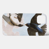 Audubon: Baum-Schwalbe Case-Mate iPhone Hülle (Rückseite (Horizontal))