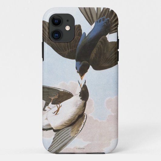 Audubon: Baum-Schwalbe Case-Mate iPhone Hülle (Rückseite)