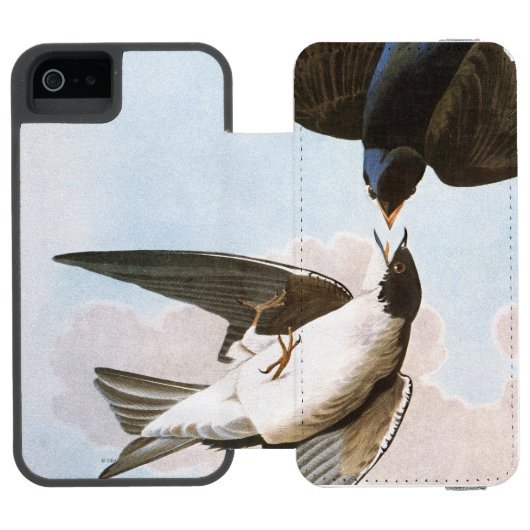 Audubon: Baum-Schwalbe Incipio iPhone Geldbeutel-Hülle (Folio Geöffnet)