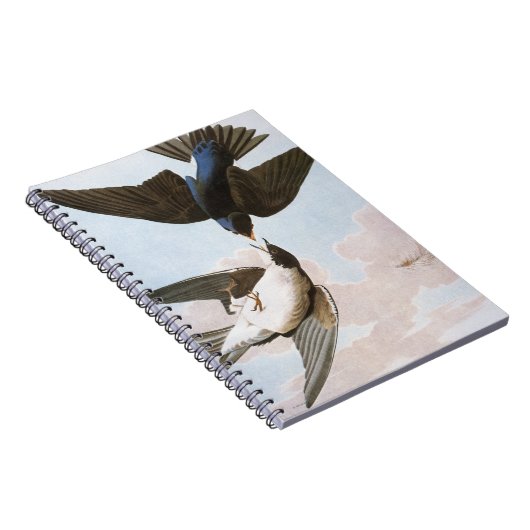 Audubon: Baum-Schwalbe Notizblock (Rechte Seite)