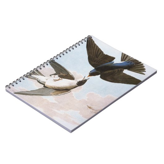 Audubon: Baum-Schwalbe Notizblock (Linke Seite)