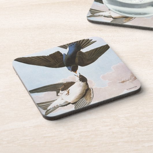 Audubon: Baum-Schwalbe Untersetzer (Linke Seite)