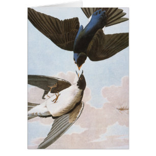 Audubon: Bäume schlucken