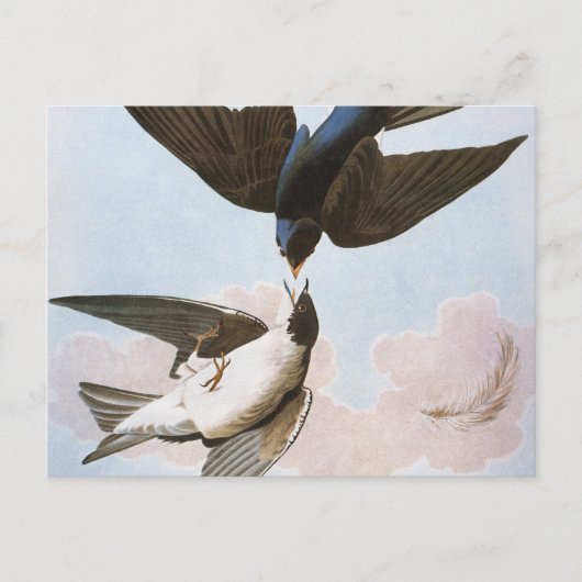 Audubon: Bäume schlucken Postkarte (Vorderseite)