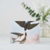 Audubon: Bäume schlucken Postkarte (Stehend Vorderseite)