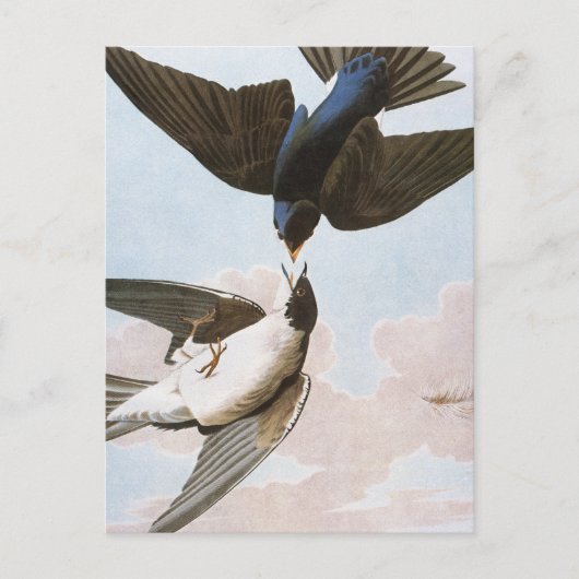 Audubon: Bäume schlucken Postkarte (Vorderseite)