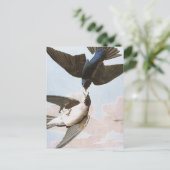 Audubon: Bäume schlucken Postkarte (Stehend Vorderseite)