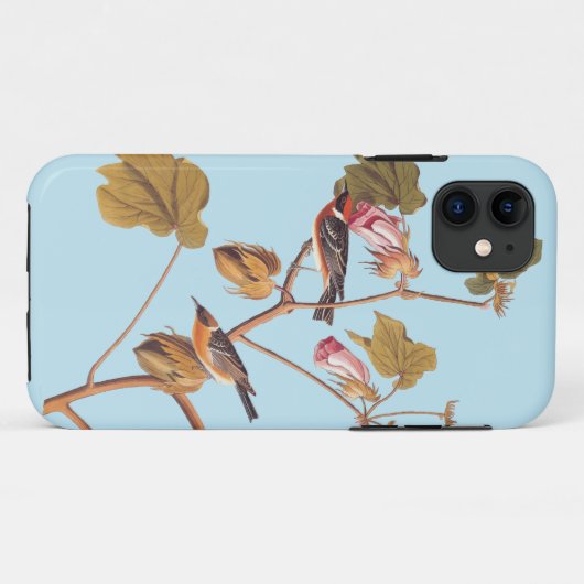 Audubon Bay Breasted Warbler Bird auf Baumwolle-Pf Case-Mate iPhone Hülle (Rückseite (Horizontal))