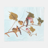 Audubon Bay Breasted Warbler Bird auf Baumwolle-Pf Fleecedecke (Vorderseite (Horizontal))