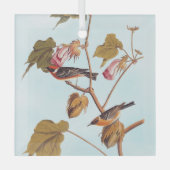 Audubon Bay Breasted Warbler Bird auf Baumwolle-Pf Ornament Aus Glas (Vorderseite)