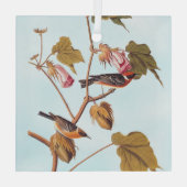 Audubon Bay Breasted Warbler Bird auf Baumwolle-Pf Ornament Aus Glas (Rückseite)