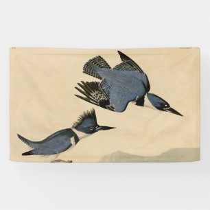 Audubon Belted Kingfisher Wildlife Bird Banner