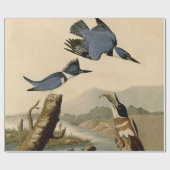 Audubon Belted Kingfisher Wildlife Bird Geschenkpapier (Flach)