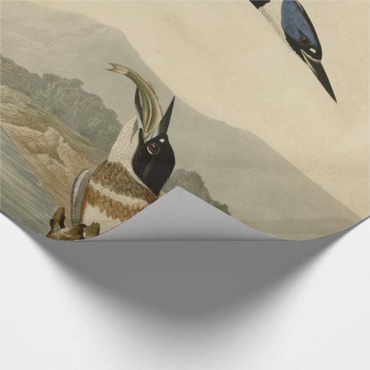 Audubon Belted Kingfisher Wildlife Bird Geschenkpapier (Ecke)