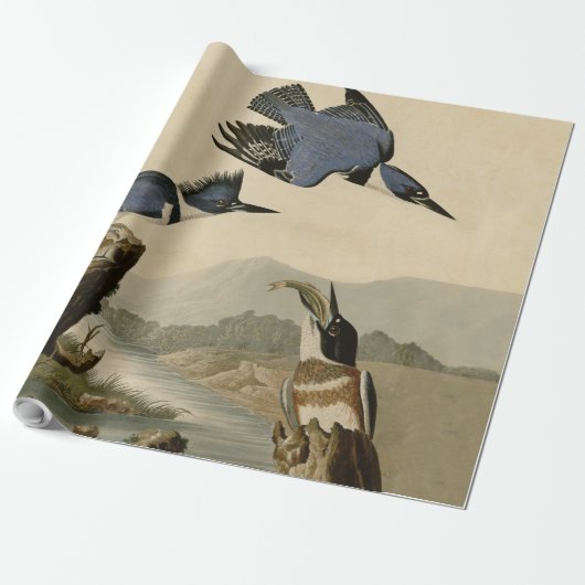 Audubon Belted Kingfisher Wildlife Bird Geschenkpapier (Ungerollt)