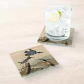 Audubon Belted Kingfisher Wildlife Bird Glasuntersetzer (Schrägansicht)