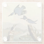 Audubon Belted Kingfisher Wildlife Bird Glasuntersetzer (Rückseite)