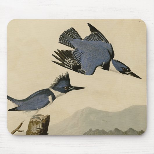 Audubon Belted Kingfisher Wildlife Bird Mousepad (Vorne)