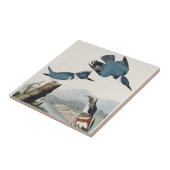 Audubon Belted Kingfisher Wildlife Bird Painting Fliese (Seite)