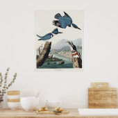 Audubon Belted Kingfisher Wildlife Bird Painting Poster (Küche)
