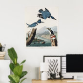 Audubon Belted Kingfisher Wildlife Bird Painting Poster (Heimbüro)