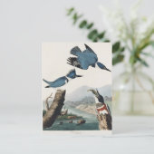 Audubon Belted Kingfisher Wildlife Bird Painting Postkarte (Stehend Vorderseite)