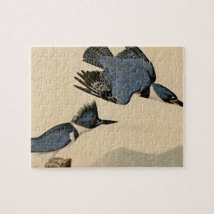 Audubon Belted Kingfisher Wildlife Bird Puzzle