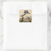 Audubon Belted Kingfisher Wildlife Bird Quadratischer Aufkleber (Tasche)