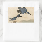 Audubon Belted Kingfisher Wildlife Bird Rechteckiger Aufkleber (Tasche)